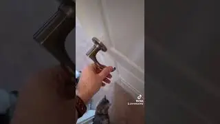 When your door sounds like Yoshi