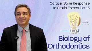 Cortical Bone Response to Static Forces:A New Orthopedic Target Pt 3 - Biology Of Orthodontics #012
