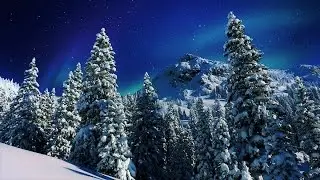 Winter Instrumental Music &ndash; Spruce Forest