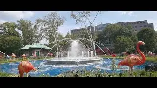 Franklin Square Music Fountain 2023