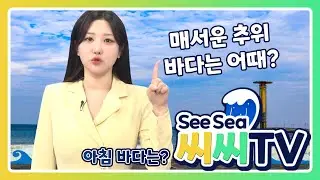 [See Sea TV]26년1월26일 매서운 추위! 바다는 어때? / 해양예보방송