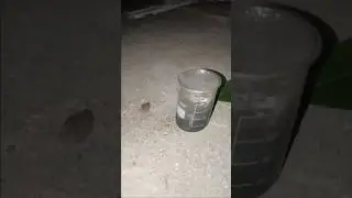 #shorts HCl vs aluminium foil chemical reaction