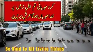 Be Kind to All Living Things | Show Kindness to Animals