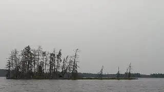 Paddling - Big Rice Lake from the Hook Lake portage to the Portage River in the BWCA