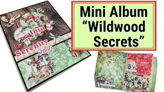 Mini album 