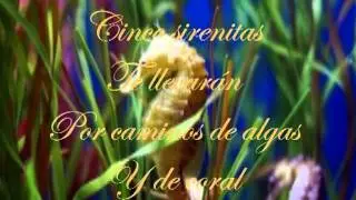 alfonsina y el mar - judy lani.mpg