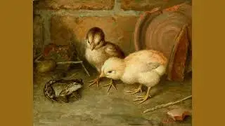 The Chicken (Maceo Parker & Pee Wee Ellis) [Frank Paton]