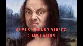 Funny Memes and Videos Compilation#2