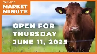 Cattle are lower Wednesday morning | Opening Market Minute