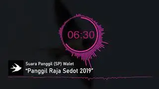 HOT !! Panggil Raja Sedot 2019 - SP WALET