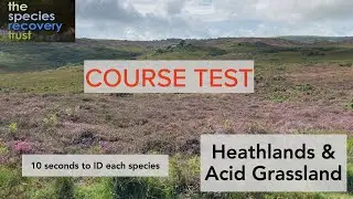 Heathlands test