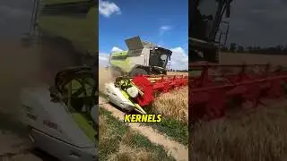 #FarmTok#TechThatBlowsYourMind