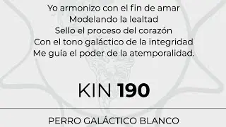 Meditaci&oacute;n 246/260 