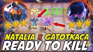 HYPER NATALIA & GATOTKACA! COMBO 6 ASTRO 4 ASSASSIN 4 SWORDSMAN! WE ARE READY TO KILL! ARE YOU READY