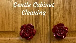 Gentle Cabinet Cleaning technique: The Nylon brush cleaning technique on trial.
