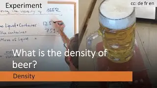 Measuring the Density of Beer with Basic Tools