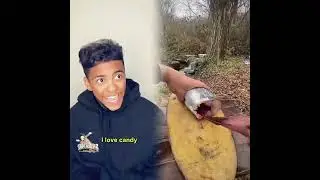 🤣👌👌👌2025 pov Must-Watch Crazy Clips Compilation #humor #fypシ #pov #fyp #foryou 😍😜