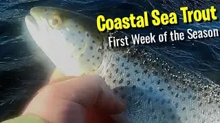 3 Days of early Sea Trout Fishing