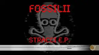 Fossilii - Meedee (Superdrive Records 001)