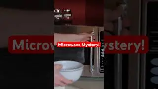 Microwave Mystery: Why Food Heats, Plates Don't? #microwave #physicsfacts #shorts