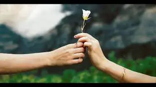 TE IRÁS ME IRE Miguel de Gracia - SERGIO DENIS . CLASICOS DEL AMOR