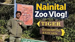 Nainital Zoo Vlog | Himalayan Animals | High Altitude Zoo Experience