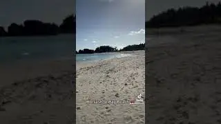 Does Bermuda have pink sand beaches?