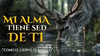 Mi Alma Tiene Sed de Ti | Clamor de un Coraz&oacute;n Sediento | C&aacute;ntico Inspirada en Salmos 42:2