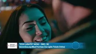 Denver Zoo - Zoo Lights