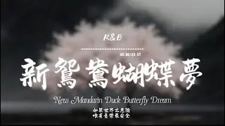 新鴛鴦蝴蝶夢(R&B)/ Haohao |原唱：黃安｜『花花世界鴛鴦蝴蝶 在人間已是癲何苦要上青天 不如溫柔同眠』