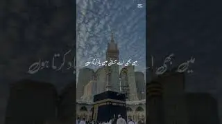 follow the habits of our last prophet Hazrat Muhammad (PBUH)