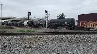 Norfolk Southern 369 at Valdosta, GA (February 7, 2025) {1503} [General Freight]