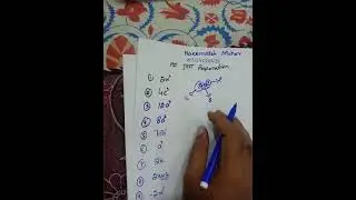 Алгебра || Решение практических задач || Базовые вычисления || Наимулла Махар