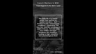 Facts About Trench Warfare in WW1: From Dugouts to No Man's Land #shorts