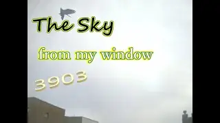 Timelapse East view from window (24hrs) queens NY USA 01-10-2026