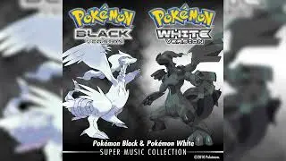 Battle! Champion Alder - Pok&eacute;mon Black & White