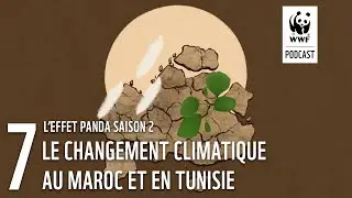 Le changement climatique au Maroc et en Tunisie | L'Effet Panda saison 2 : un podcast WWF
