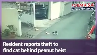 Resident reports theft to find cat behind peanut heist｜Taiwan News