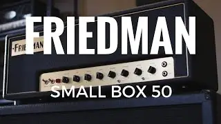 Friedman Small Box 50 - Demo