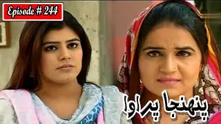 Pahinja Parawa Episode 244 Sindhi Drama | Sindhi Dramas 2022