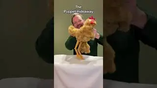 Puppet of the Day - Chicken made by Folkmanis Puppets at The Puppet Hideaway with Eric Thomsen
