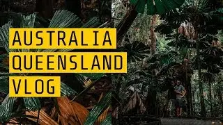 Walk in Rainforest & Look for wild crocodiles  | Week 2 Queensland