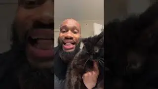 #cat #petcomedy #comedyfilms #funny #felinecomedy #comedymovies #pethumor #pets #catdaddy