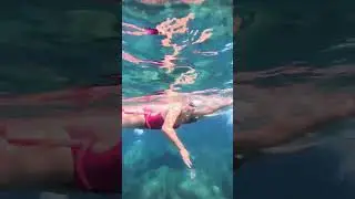 Swimming in the Azores Archipelago 🌊🌋