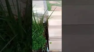 DETEC&Ccedil;&Atilde;O DE VAZAMENTO NO PONTO EXATO UTILIZANDO GEOFONE DIGITAL- BELO HORIZONTE