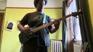 Primus - Shake Hands with Beef Bass Cover