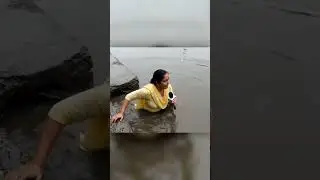 Funny Cat Reaction to Falling Object 😂 | Viral Comedy Clip 2025