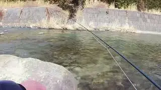 0201_KFT千夜釣行_KFT Thousand Nights Fishing Trip _Episode of the Houki River