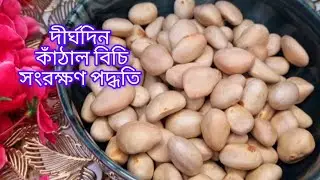 বছর জুড়ে কাঁঠাল বিচি সংরক্ষণের সেরা উপায়!!Kathal Bichi Sogrokhon Recipe.