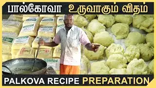 Palkova Makking| Milk Kova Recipe Preparation #swwet_love_story
